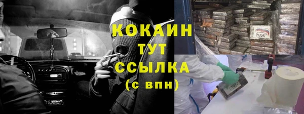 таблы Богородицк