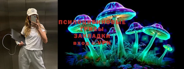 таблы Богородицк