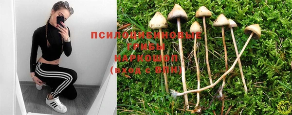 хмурый Богородск