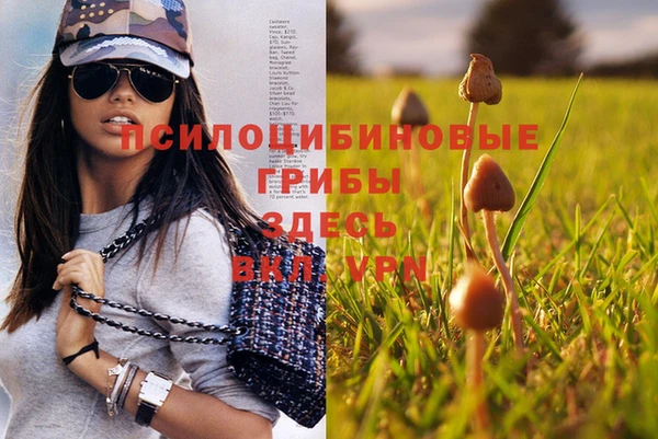 шишки Богданович