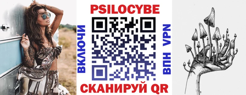 купить наркотик  Кирово-Чепецк  Псилоцибиновые грибы Magic Shrooms 